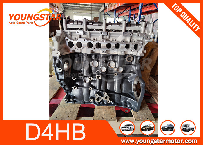Motor Long Block Assy para Hyundai Santa Fe 2.2 CRDI D4HB 2011-2018