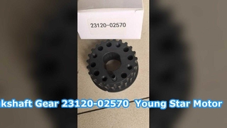 Engrenagem da correia da roda dentada do virabrequim Hyundai Getz 23120-02570 MOTOR YOUNG STAR