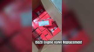 Válvula 0114 do motor de ISUZU 6BG1 6BD1 0279 substituições